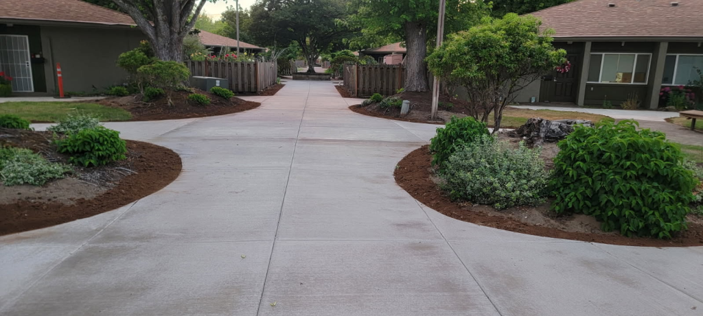 image-3--1773325413160-fxh3op